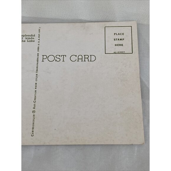 Vintage Postcard View of the Lake Front Milwaukee Bay Wisconsin Unposted - Picture 8 of 9